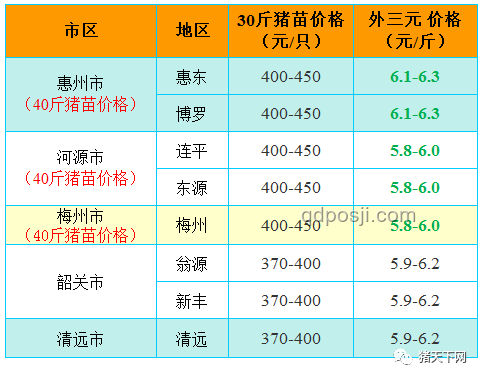 显眼包弟弟与常规助考方式对比：红绿色旗袍助考效应分析